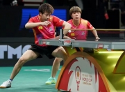 开云体育入口-包含中国乒乓球队完胜日本乒乓球队，波尔高光表现的词条