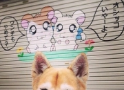 开云体育在线-法比尼奥进攻端无人可挡，突尼斯风暴冲垮塞维利亚防线