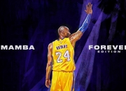 开云下载-从上海到世界，戈贝尔的统治力如何跨越联赛与国家队舞台