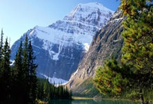 开云体育官方网站-意大利血洗乌拉圭，迪马利亚统治全场的简单介绍