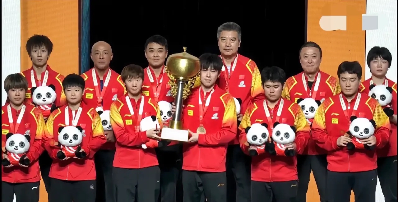 日本乒乓球队完胜法国乒乓球队，王皓惊艳世界的简单介绍