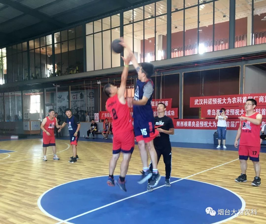 红队与蓝队在场上展开激烈对决 红队与蓝队在场上展开激烈对决