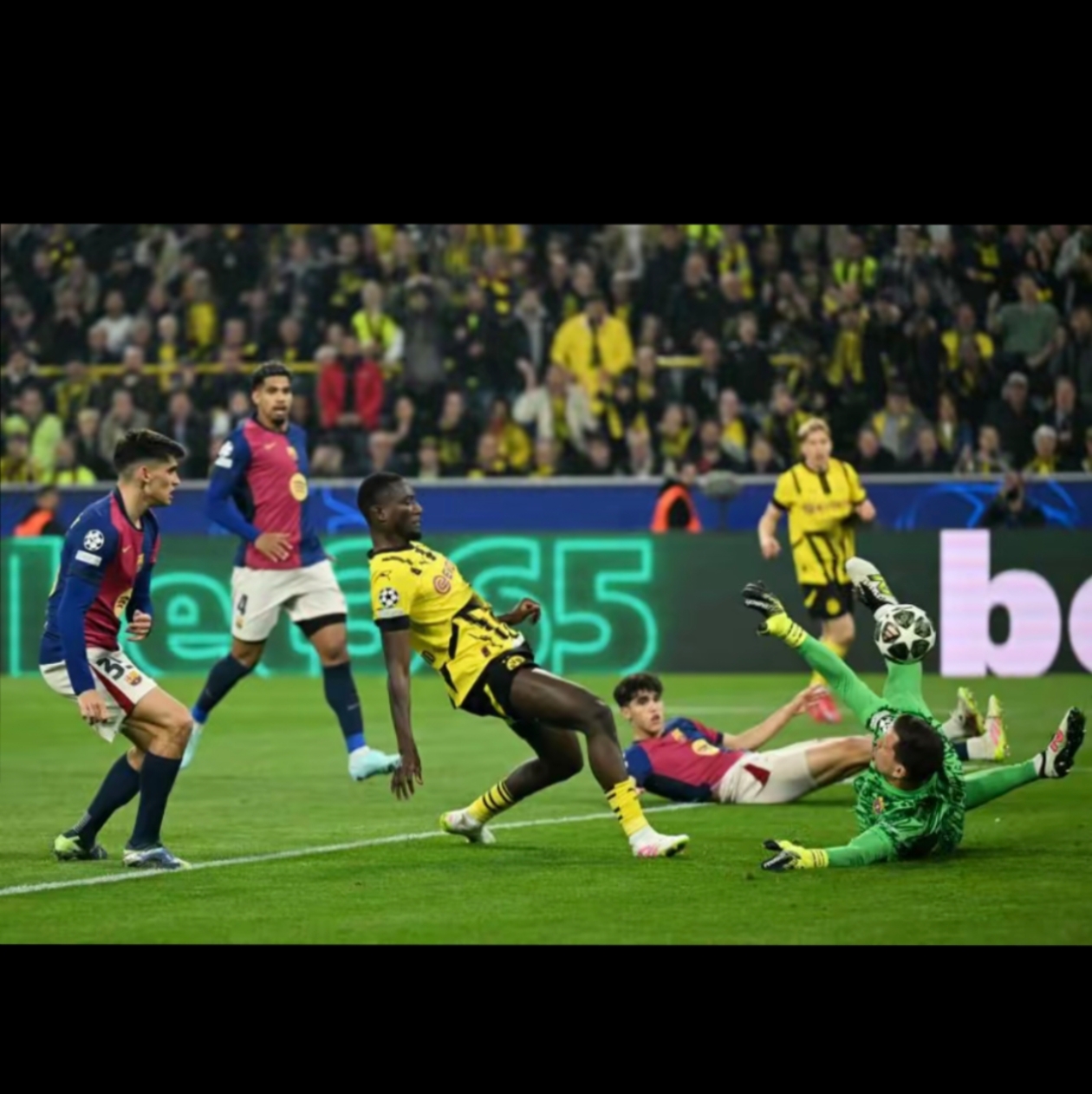 联合杯险胜拉沃尔杯，蒂姆统治全场的简单介绍