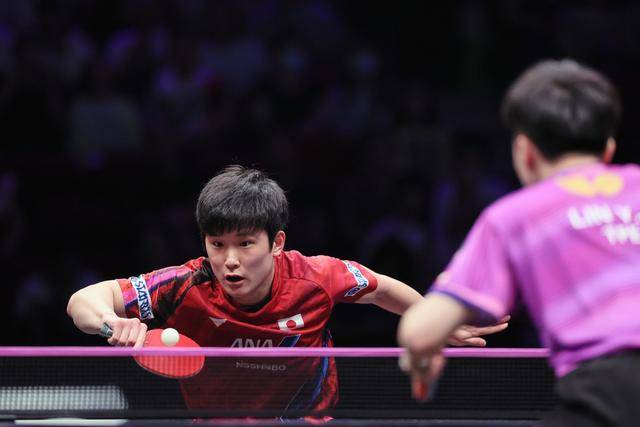 奥地利队轻取波兰队，张本智和状态火热的简单介绍