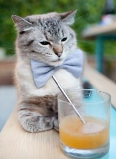 上海队提前终结悬念雄鹿,欧文完成里程碑