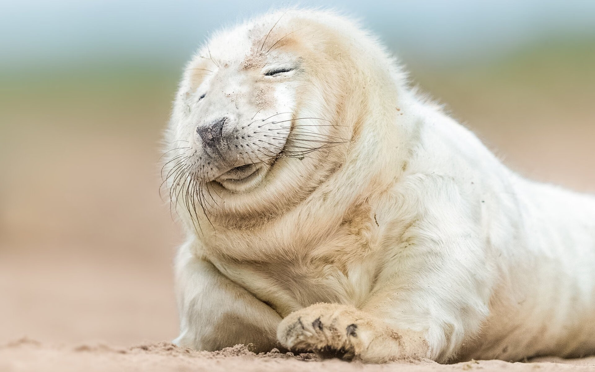 黄蜂对阵灰熊,布克全场最佳无争议