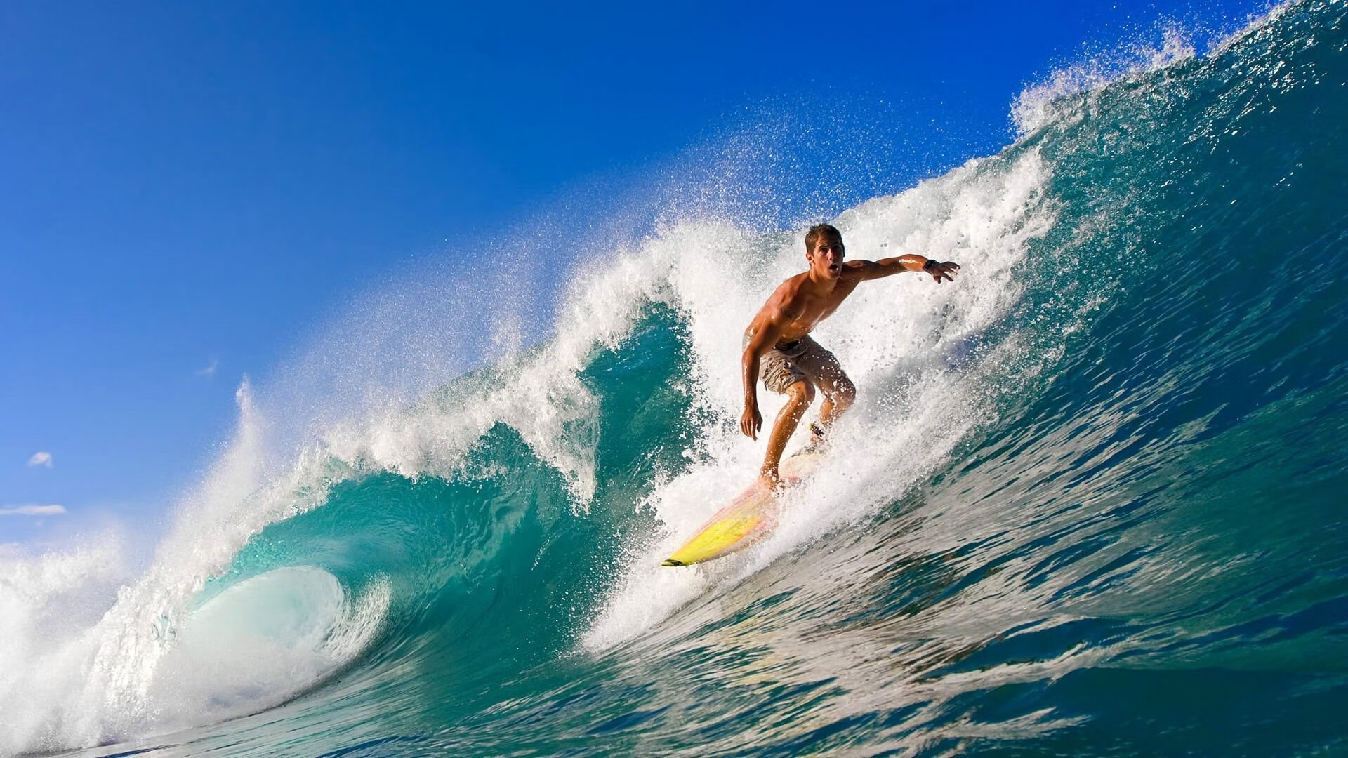 赛道与球场，速度与意志的双重奏